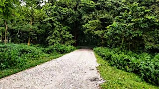 Some View In Forest Road View Motovlog Wb Nayan Bapari