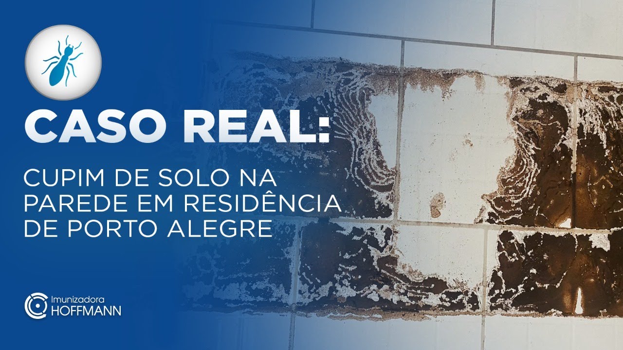 Cupim de solo na parede em residência de Porto Alegre | Imunizadora ...
