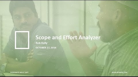 Webinar: Scope and Effort Analyzer: Your Guide to an Efficient and Supported SAP Landscape