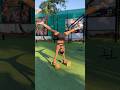 Flows 🤸‍♀️ #ElysiumCaliPark #Calisthenics #CalisthenicsGirls #Handstand #StreetWorkout #Fitness