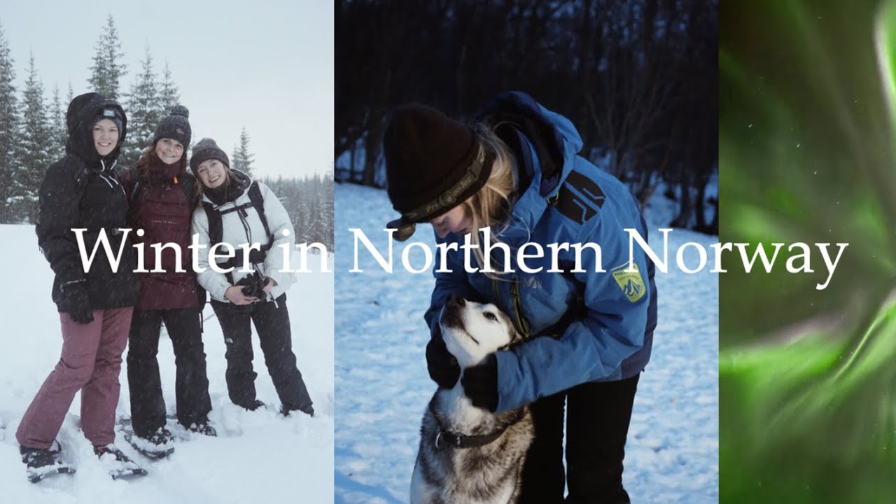 A week of campfires and winter activities in TROMSØ in the NORTH (with friends)