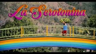 Manel - La Serotonina (Videoclip Oficial) chords