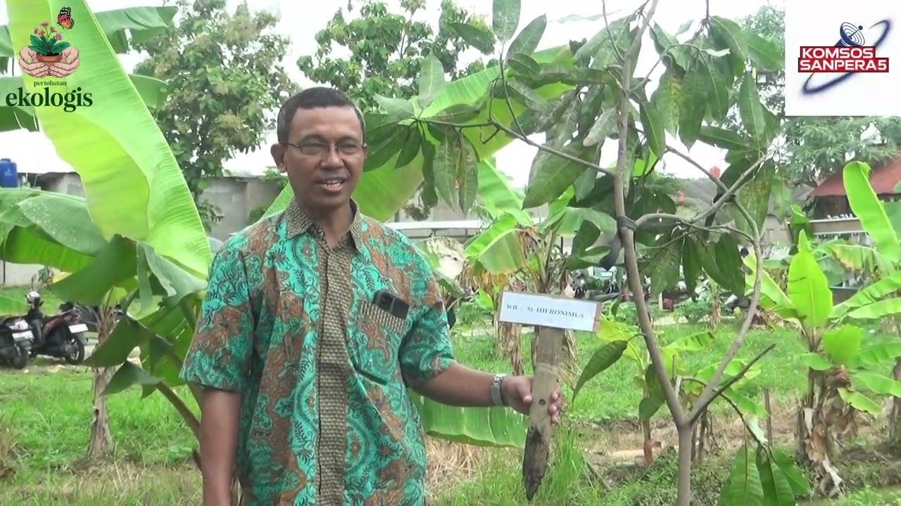 SANPERA FOCUS | Pencanangan Aksi Pertobatan Ekologis di Stasi Cibitung