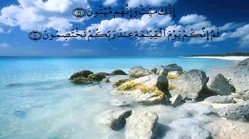 سورة الزمر * الدوكالي * قالون