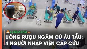 Uống rượu ngâm củ ấu tẩu 4 người nhập viện cấp cứu