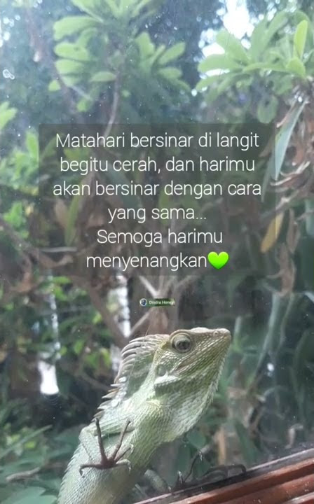 Story wa Semoga harimu menyenangkan-Hero Mariah Carey#quotesharian  #quotesmotivational