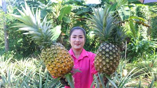 Giant Pineapple Is Grown In Grandma's Back Yard / 2 Recipes With Pineapple / Cooking With Sreypov