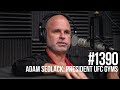 #1390: The State of the Gym Industry with UFC Gym President Adam Sedlack