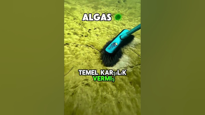 “Temel Japonya’ya giderse... Sonuç: Kahkaha garantili! 🇯🇵😂”