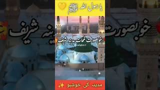 Download Lagu ✨ نورانی جھلکیں روضہ رسول ﷺ | Riyaz ul Jannah | Madina Sharif Roza Rasool ﷺ #madina #naat #shorts MP3