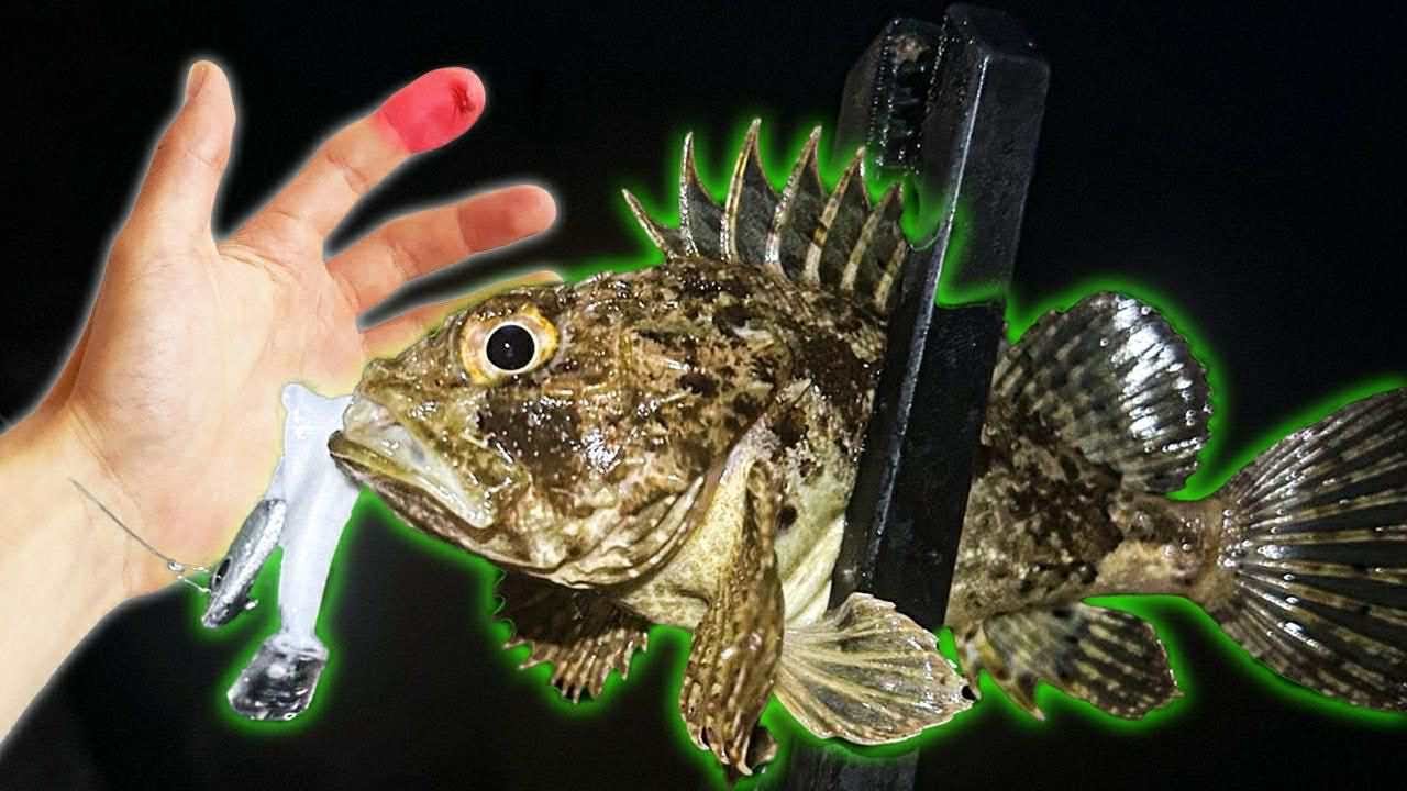 УБОДЕ МЕ ОТРОВНА РИБА! РИБОЛОВ на СКОРПИД и ВРАНА на Черно Море!