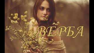 Коля Веремко - Верба (dance cover)