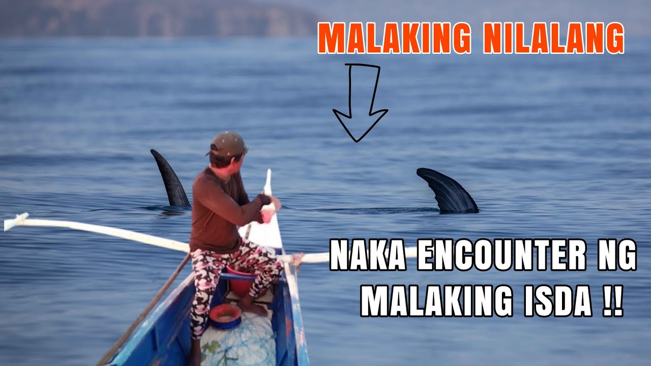 NGAYON LANG AKO NAKA ENCOUNTER NG GANITO KALAKING TANIGUE | NONO OFFICIAL