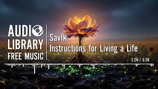 Instructions For Living A Life - Savfk