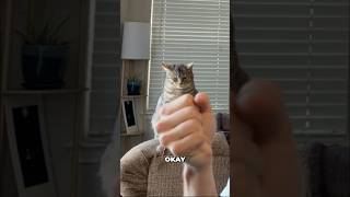 Michael Jackson Movie Was Amazing! #shorts #michaeljackson #reaction #music #funny