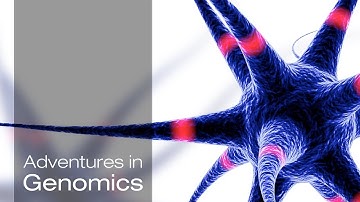 The Singular Neuron: Understanding Complex Biology, One Cell at a Time