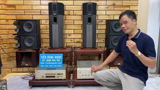 SO SÁNH VUA BASS BOSE 701 VỚI 2 CẶP BOSE 301 SERI III LỪNG DANH TIẾN DŨNG AUDIO SÀI GÒN.