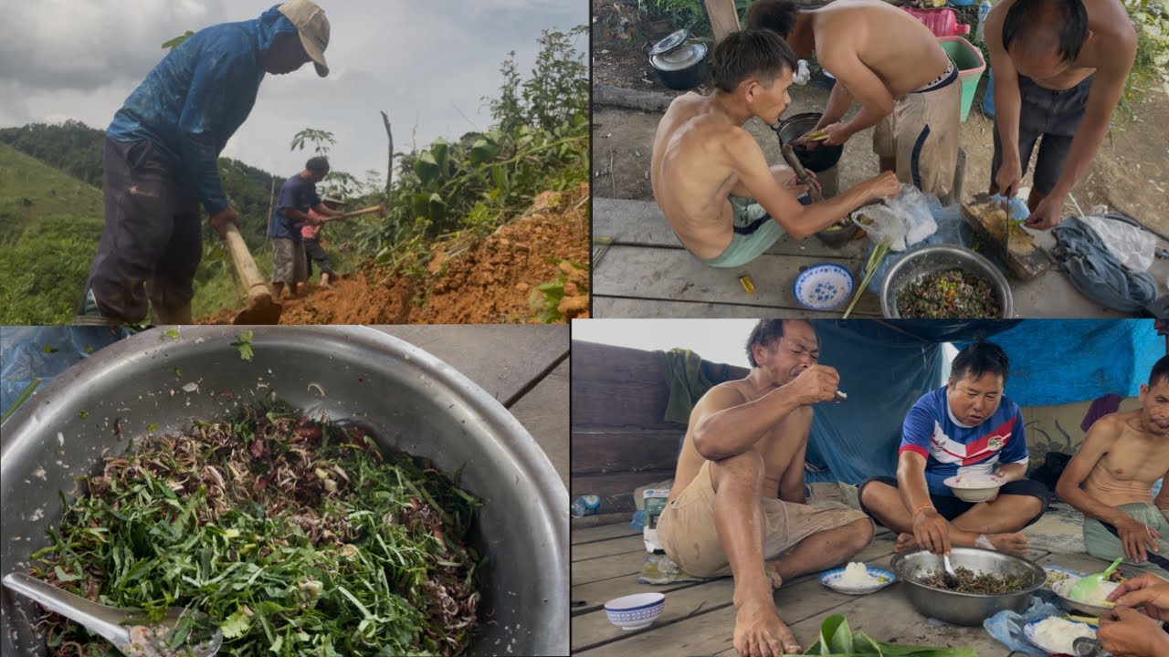 Peb pab kwv tij khawb kev noj laj pob tsawb xwb kuj qab kawg. 7/9/2025