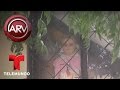 Vecinos dicen que una muñeca cobra vida en Ciudad México | Al Rojo Vivo | Telemundo