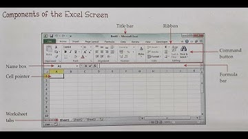 Class 6 - Computer - Chapter - 5 - Working in Microsoft Office Excel