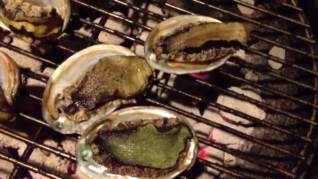 TSA Tortures Technique Cooked Alive Absolutely Grotesque! HD anxiety dread horror