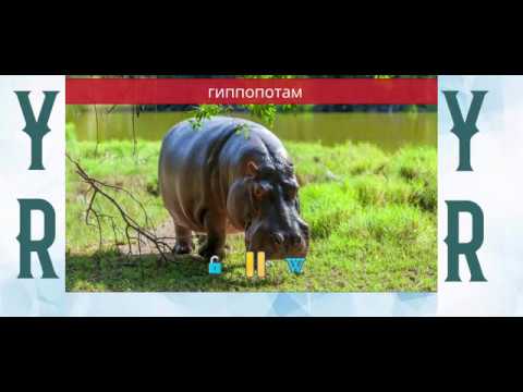 Звуки газели животного