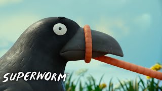 Superworm Shows The Crow Whos The Boss Superworm