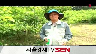 20130801_포커스 핫 현장_7회