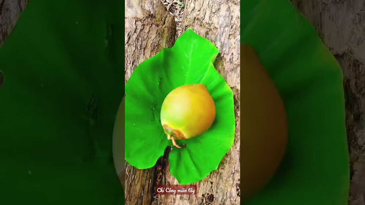 bạn ăn dừa non chấm muối ớt chưa... nhức nách 