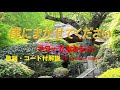昭和フォーク入門!『僕にまかせてください』を簡単ギターで弾き語り【中高年シニア向けギター教室】