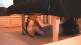 How To Move A Grand Piano The Easy Way - YouTube