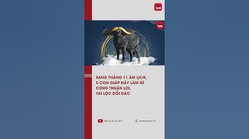 Sang tháng 11 âm lịch, 5 con giáp này làm gì cũng thuận lợi, tài lộc dồi dào