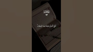 تلاوه خاشعه احمد العجمي#قران #احمد_العجمي #quran #قران_كريم #تلاوة_خاشعة