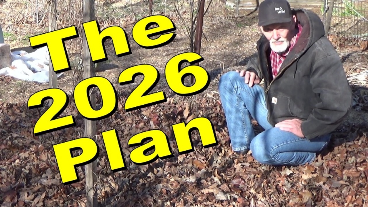 Начните создавать свой сад к 2026 году ПРЯМО СЕЙЧАС! Мечтайте о большем, ешьте то, что выращиваете.