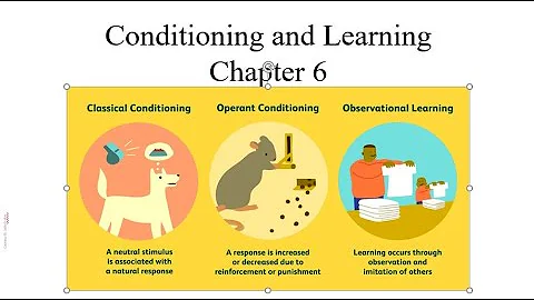 Conditioning and Learning