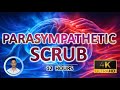 Soothing Parasympathetic Scrub | Deep Nervous System Brain Massage | Downshift | 12 Hours |