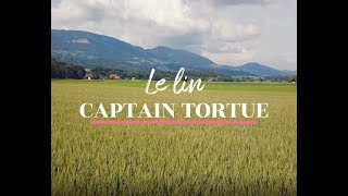 Captain Tortue x le lin screenshot 3