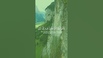 ياسر الدوسري، سورة البقرة{ واتقوا يوماً ترجعون فيه إلى الله}#قرآن #ياسر_الدوسري