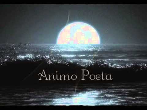 Poesia d'autore 1 ? "Ti voglio bene" di:  Pablo Neruda letta da Wollemi Pine