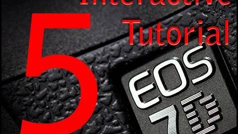 5. Canon 7D Lenses for Shooting Video  Interactive tutorial