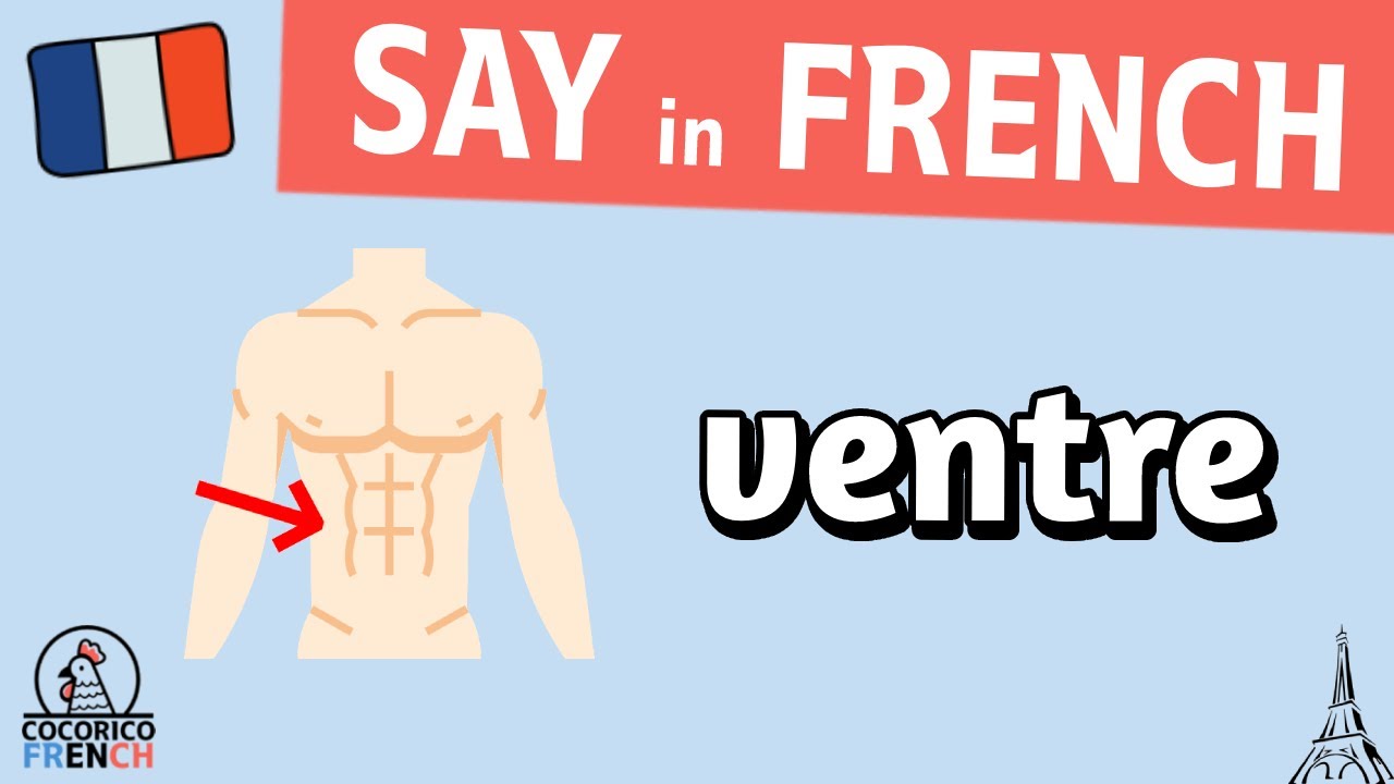 ventre - SAY IN FRENCH / how to pronounce "BELLY" in French [Cororico 🐔