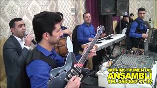 Hemen kurdem oxuyan Behruz   gitara Mehemmed   qarmon Perviz   nagara Nurlan   sintez Elvin