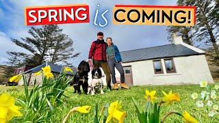 Spring Is Coming To Our Cottage On The Isle of Skye - Scottish Highlands - Ep61