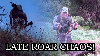 Stag Down at the End of the Roar - Then Everything Turned to Chaos | NZ Red Deer Hunt