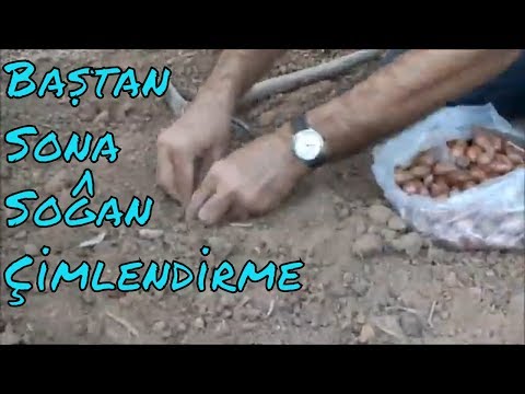 Video: Binek araçların atanması ve düzenlenmesi