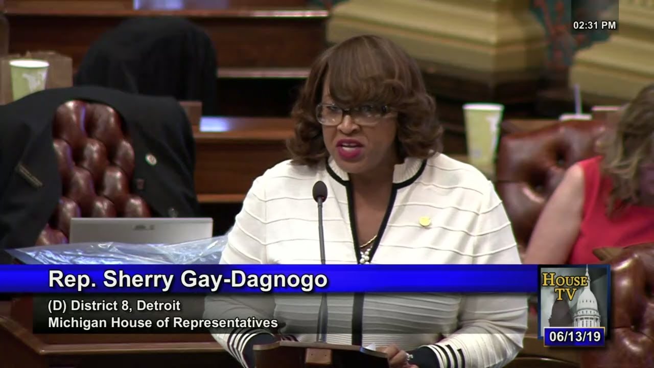 dps meaning Rep. Sherry Gay-Dagnogo Speaks Against Insufficient School Aid Budget