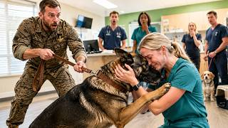 Nobody Touches Him, He'll Bite The SEAL At The Clinic Smirked—Until The Vet Tech Knelt And His ...