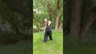 Eagle Palm. Swimming Dragons Form Solo Technique. Tai Ba Gua.