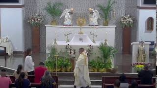 VII MARTES DE PASCUA 5/19/26