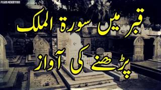 Qabar Main Surah Mulk Parhny Ki Awaz Pir Saqib Shaami Bayan Peace4Every